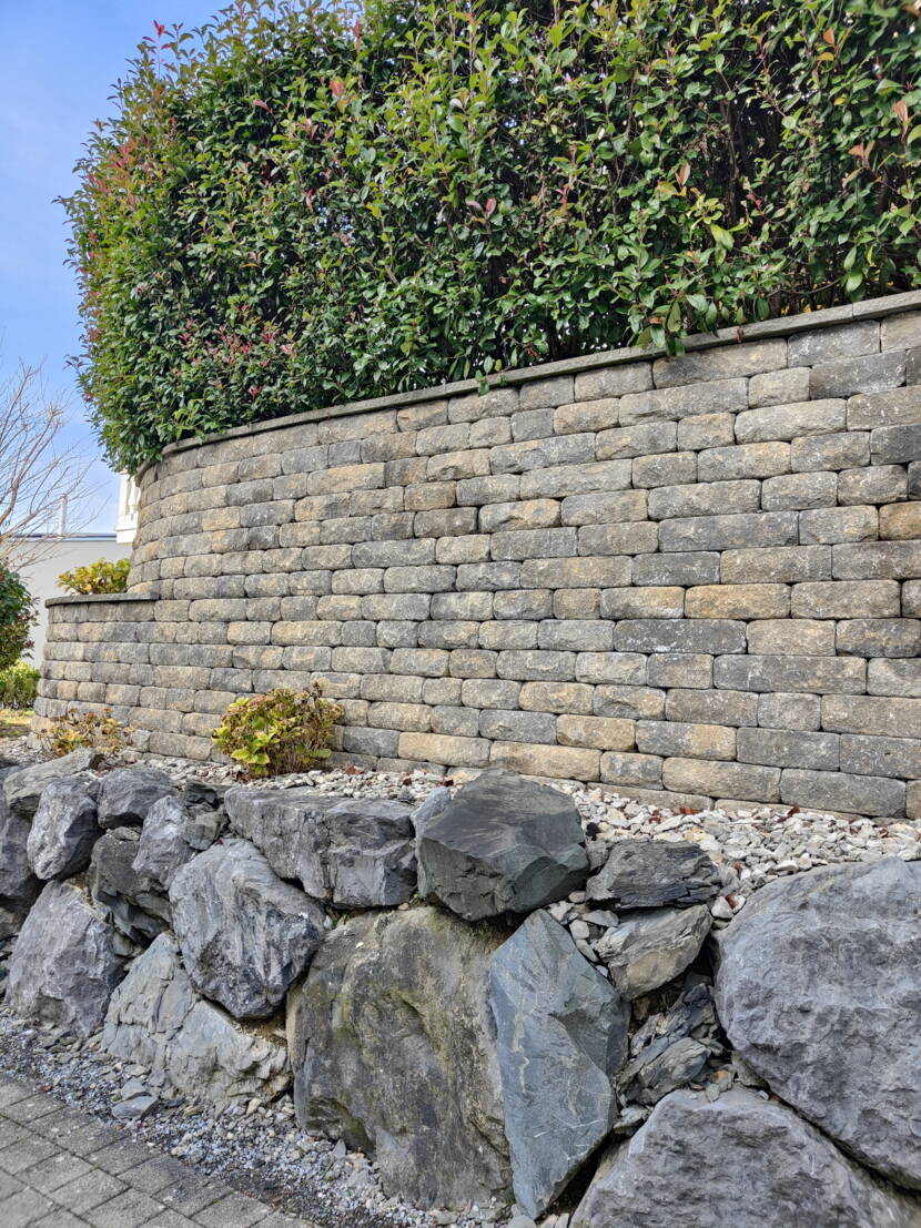 Santuro Weinberg gelb-schwarz